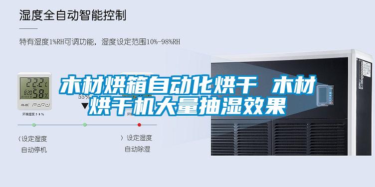 木材烘箱自動(dòng)化烘干 木材烘干機(jī)大量抽濕效果