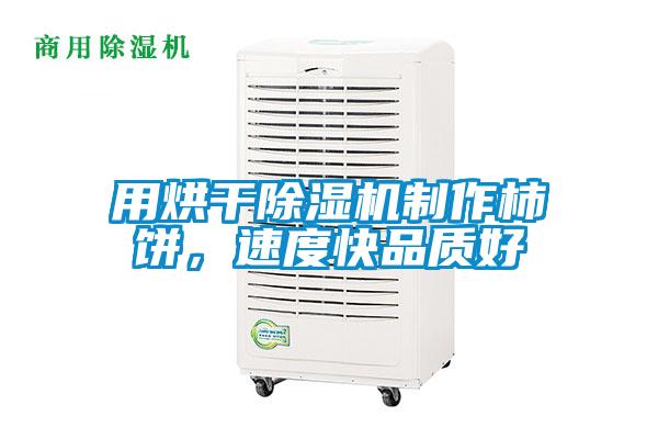用烘干除濕機(jī)制作柿餅，速度快品質(zhì)好