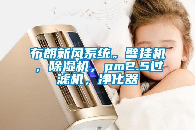 布朗新風系統(tǒng)。壁掛機，除濕機，pm2.5過濾機，凈化器