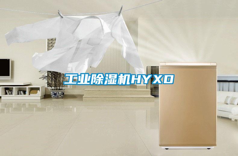 工業(yè)除濕機(jī)HYXD