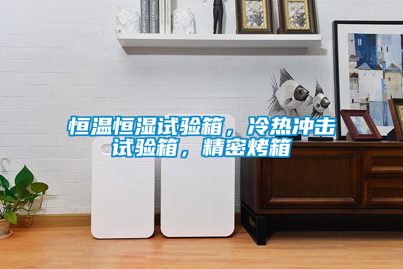 恒溫恒濕試驗箱，冷熱沖擊試驗箱，精密烤箱