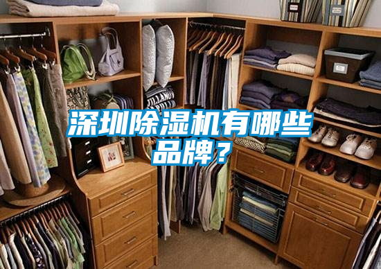 深圳除濕機(jī)有哪些品牌？