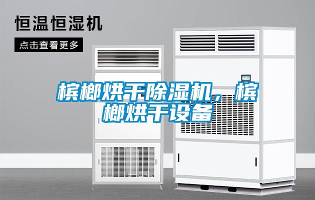 檳榔烘干除濕機，檳榔烘干設(shè)備
