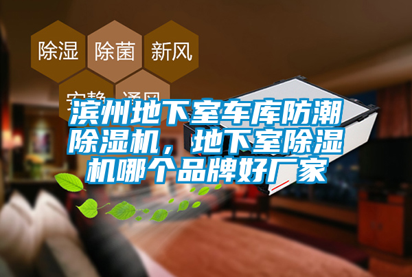 濱州地下室車庫(kù)防潮除濕機(jī)，地下室除濕機(jī)哪個(gè)品牌好廠家