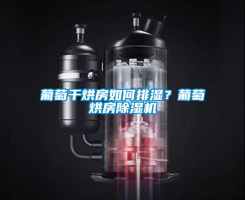 葡萄干烘房如何排濕？葡萄烘房除濕機(jī)