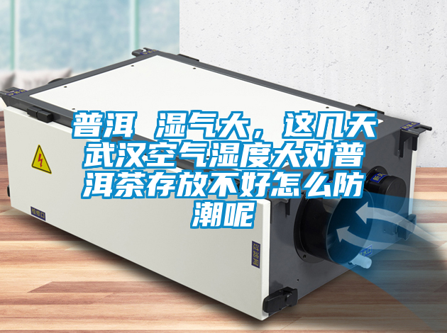 普洱 濕氣大，這幾天武漢空氣濕度大對(duì)普洱茶存放不好怎么防潮呢