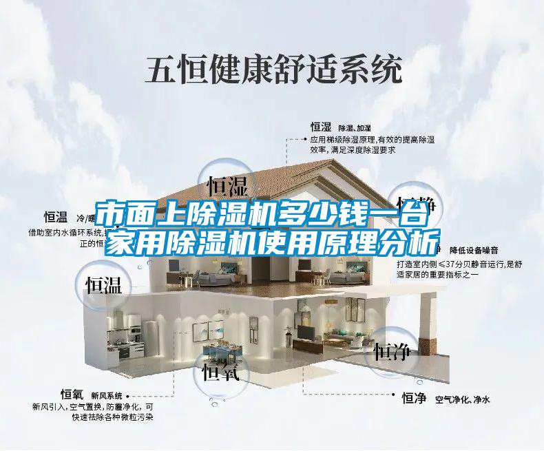 市面上除濕機(jī)多少錢一臺(tái) 家用除濕機(jī)使用原理分析