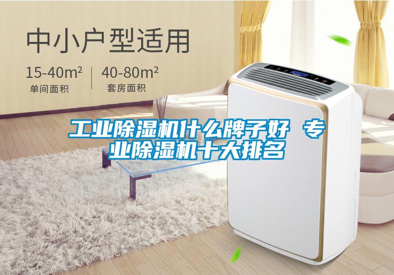 工業(yè)除濕機什么牌子好 專業(yè)除濕機十大排名