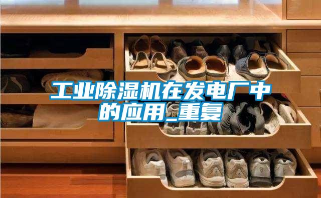 工業(yè)除濕機在發(fā)電廠中的應用_重復