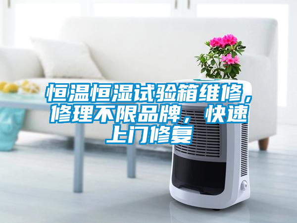 恒溫恒濕試驗(yàn)箱維修，修理不限品牌，快速上門修復(fù)