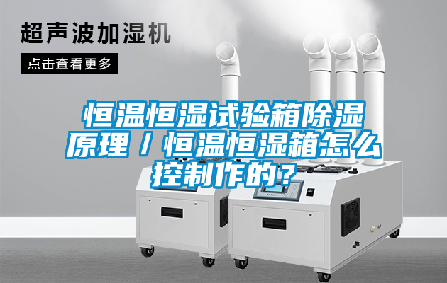 恒溫恒濕試驗(yàn)箱除濕原理／恒溫恒濕箱怎么控制作的？