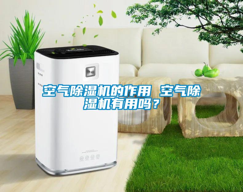 空氣除濕機(jī)的作用 空氣除濕機(jī)有用嗎？