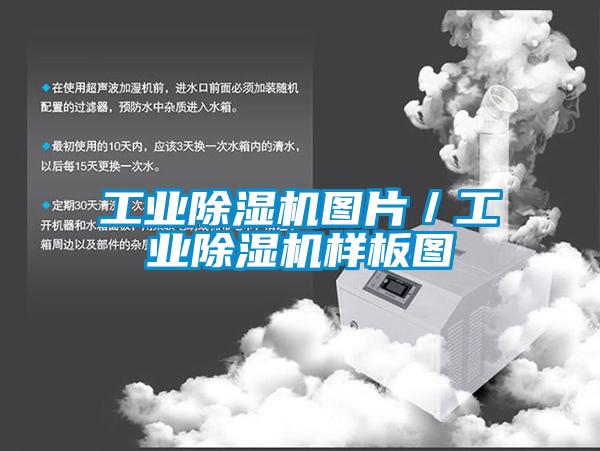 工業(yè)除濕機圖片／工業(yè)除濕機樣板圖