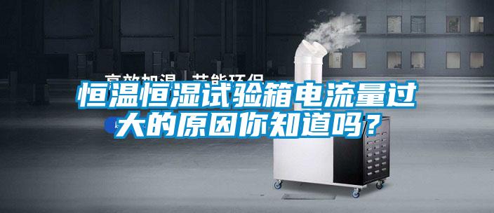 恒溫恒濕試驗箱電流量過大的原因你知道嗎？