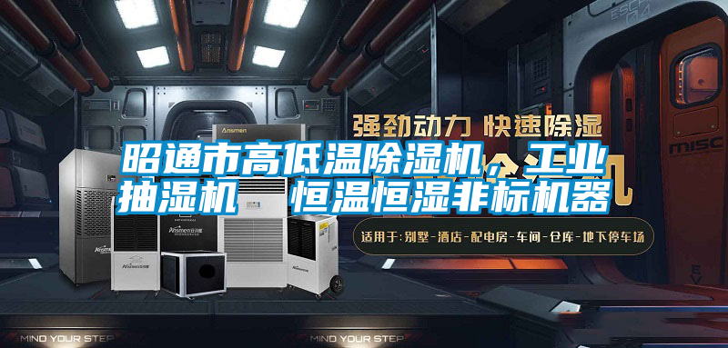 昭通市高低溫除濕機，工業(yè)抽濕機  恒溫恒濕非標(biāo)機器