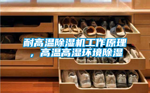 耐高溫除濕機工作原理，高溫高濕環(huán)境除濕
