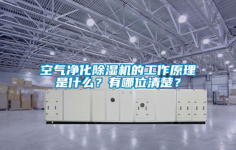 空氣凈化除濕機(jī)的工作原理是什么？有哪位清楚？