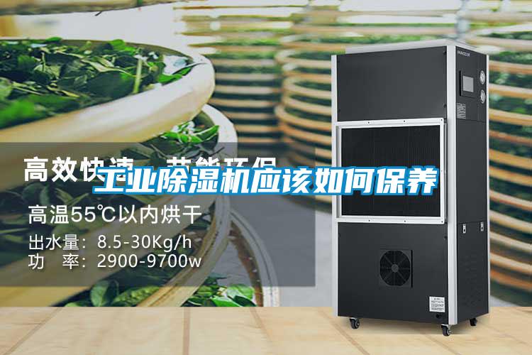 工業(yè)除濕機(jī)應(yīng)該如何保養(yǎng)