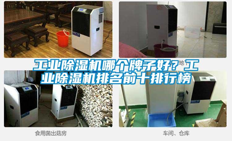 工業(yè)除濕機(jī)哪個牌子好？工業(yè)除濕機(jī)排名前十排行榜