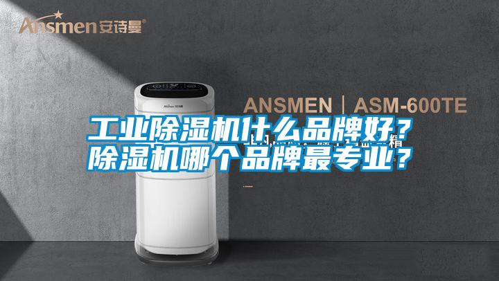 工業(yè)除濕機(jī)什么品牌好？除濕機(jī)哪個品牌最專業(yè)？