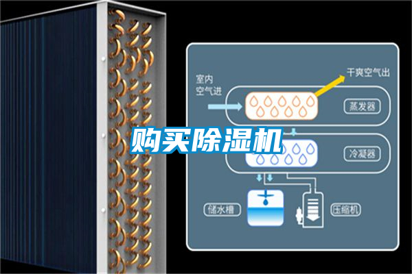 購(gòu)買(mǎi)除濕機(jī)