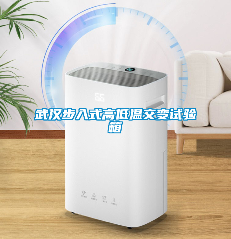 武漢步入式高低溫交變?cè)囼?yàn)箱