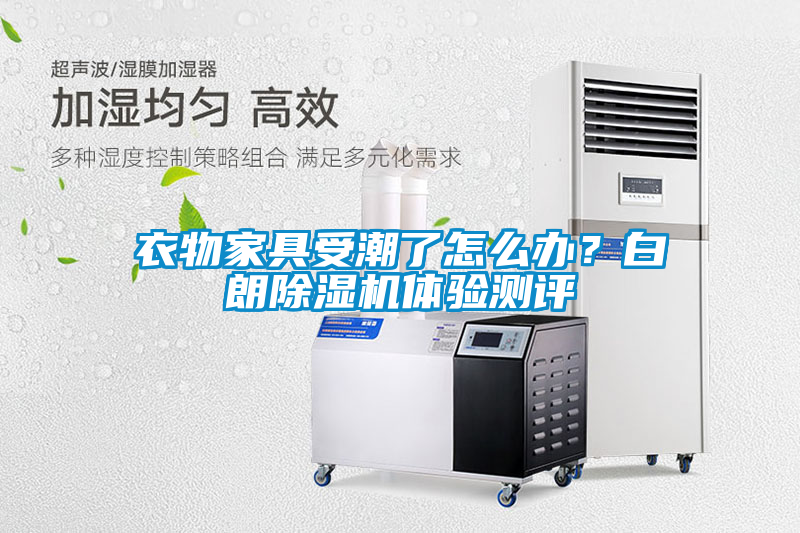 衣物家具受潮了怎么辦？白朗除濕機(jī)體驗(yàn)測評