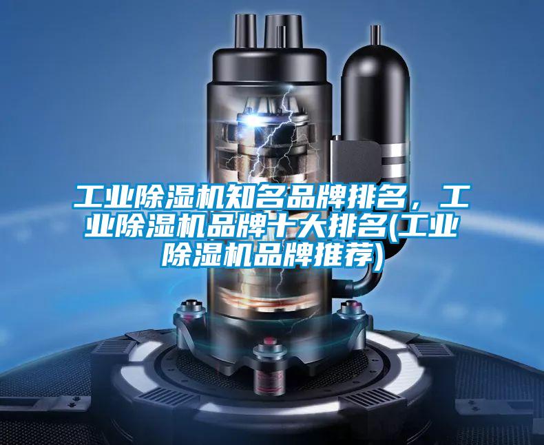 工業(yè)除濕機知名品牌排名，工業(yè)除濕機品牌十大排名(工業(yè)除濕機品牌推薦)