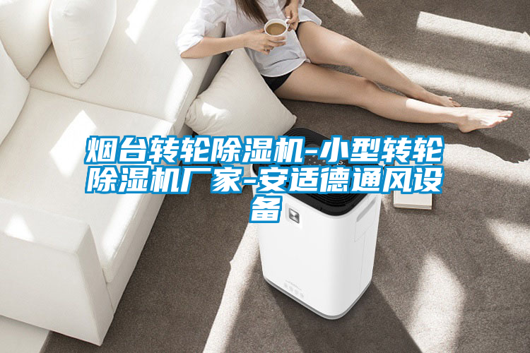 煙臺轉(zhuǎn)輪除濕機(jī)-小型轉(zhuǎn)輪除濕機(jī)廠家-安適德通風(fēng)設(shè)備