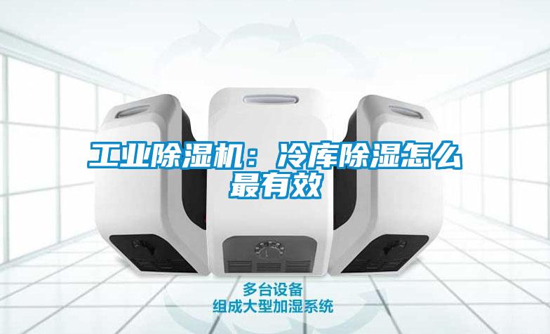 工業(yè)除濕機(jī)：冷庫(kù)除濕怎么最有效