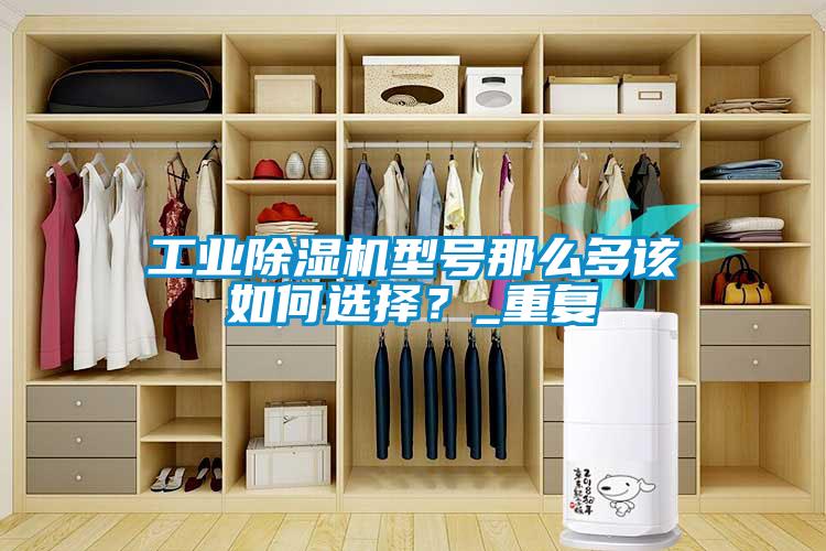 工業(yè)除濕機型號那么多該如何選擇？_重復(fù)