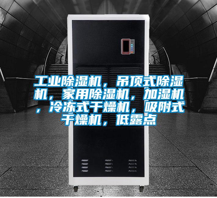 工業(yè)除濕機(jī)，吊頂式除濕機(jī)，家用除濕機(jī)，加濕機(jī)，冷凍式干燥機(jī)，吸附式干燥機(jī)，低露點(diǎn)