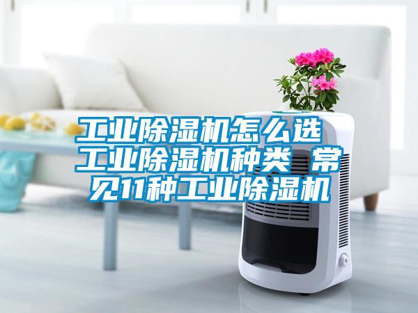 工業(yè)除濕機(jī)怎么選 工業(yè)除濕機(jī)種類(lèi) 常見(jiàn)11種工業(yè)除濕機(jī)