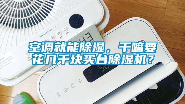 空調(diào)就能除濕，干嘛要花幾千塊買臺除濕機？