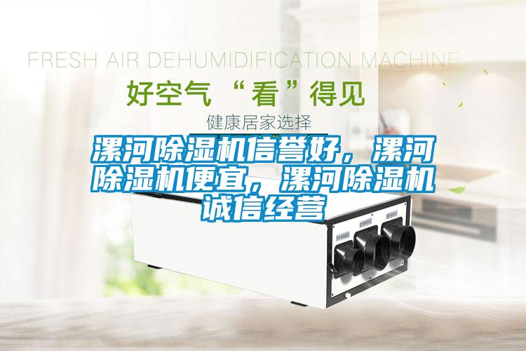 漯河除濕機(jī)信譽(yù)好，漯河除濕機(jī)便宜，漯河除濕機(jī)誠信經(jīng)營