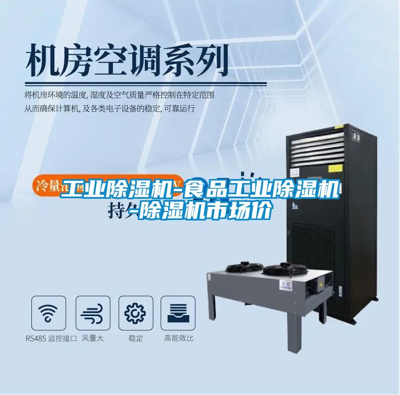 工業(yè)除濕機(jī)-食品工業(yè)除濕機(jī)-除濕機(jī)市場價