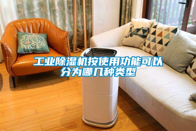 工業(yè)除濕機按使用功能可以分為哪幾種類型