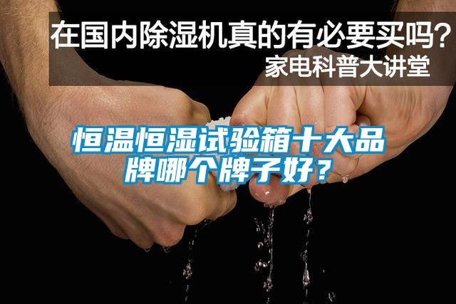恒溫恒濕試驗(yàn)箱十大品牌哪個牌子好？