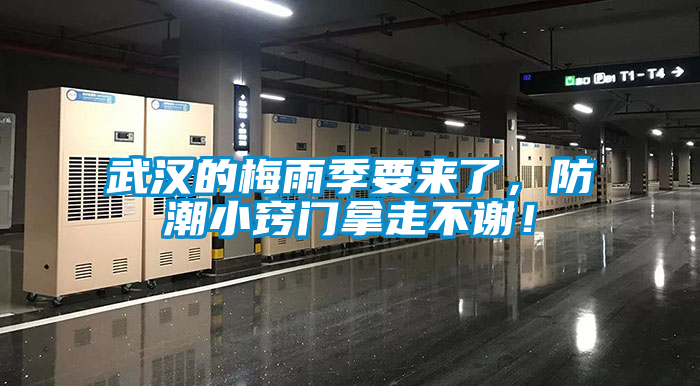 武漢的梅雨季要來了，防潮小竅門拿走不謝！