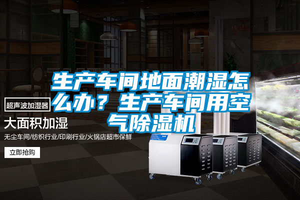 生產(chǎn)車間地面潮濕怎么辦？生產(chǎn)車間用空氣除濕機(jī)