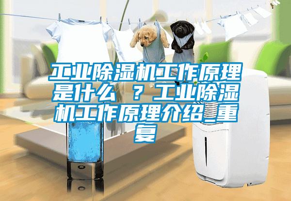工業(yè)除濕機工作原理是什么 ？工業(yè)除濕機工作原理介紹_重復
