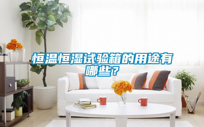 恒溫恒濕試驗(yàn)箱的用途有哪些？
