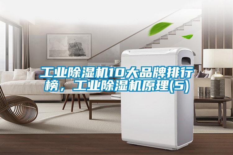 工業(yè)除濕機10大品牌排行榜，工業(yè)除濕機原理(5)