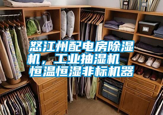 怒江州配電房除濕機(jī)，工業(yè)抽濕機(jī)  恒溫恒濕非標(biāo)機(jī)器