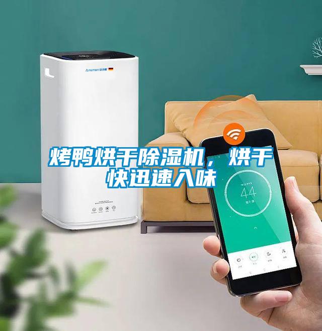 烤鴨烘干除濕機(jī)，烘干快迅速入味
