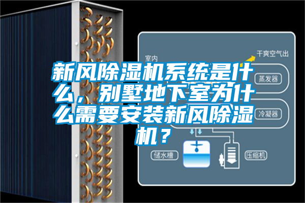 新風(fēng)除濕機系統(tǒng)是什么，別墅地下室為什么需要安裝新風(fēng)除濕機？