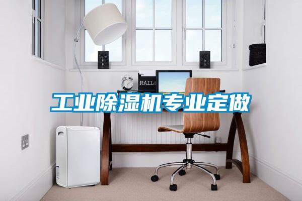 工業(yè)除濕機(jī)專(zhuān)業(yè)定做