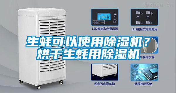 生蠔可以使用除濕機(jī)？烘干生蠔用除濕機(jī)