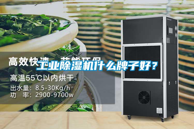 工業(yè)除濕機什么牌子好？