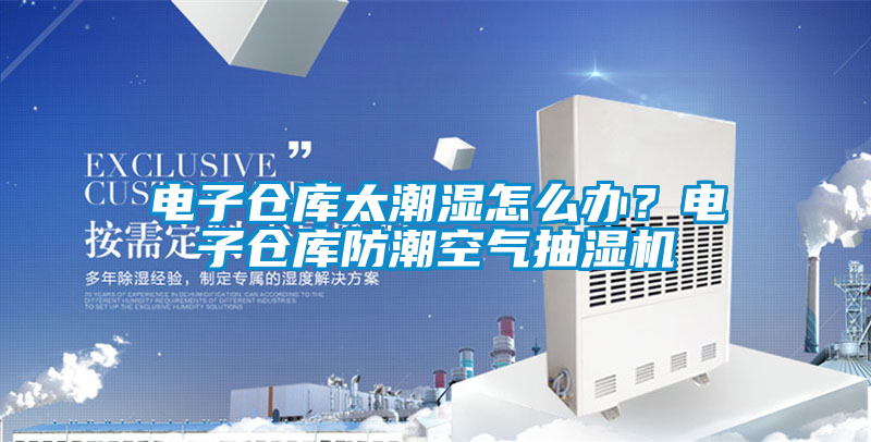 電子倉庫太潮濕怎么辦？電子倉庫防潮空氣抽濕機(jī)